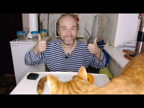 Видео: Завтрак с Рыжулей. Спасибо за донат. Приграничье. Мукбанг. Обжор. Еда на камеру. Диета. Шизофрения.