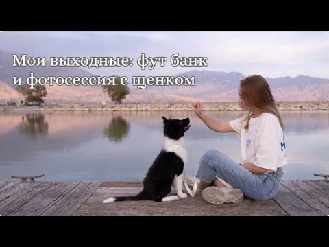 Видео: Мои выходные в Америке: покупки для щенка, фудбанк и фотосессия 🐶📸