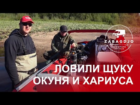 Видео: Путешествие по реке Нем | охота на боровую птицк | рыбалка на спиннинг щука окунь хариус