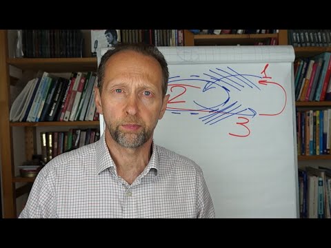 Видео: Системное мышление для ТОПов Живая система