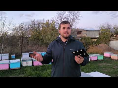 Видео: Когда делать финальную обработку пчел от клеща
