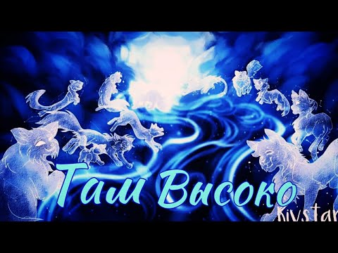 Видео: ЗАКАЗ Коты Воители Звёздное Племя: Там высоко [Ария]