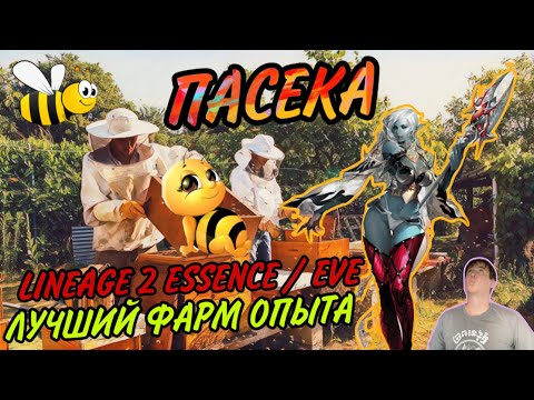 Видео: Лучший опыт! Тест фарма опыта и адены на Пасеке в Lineage 2 Essence / Проект Ева