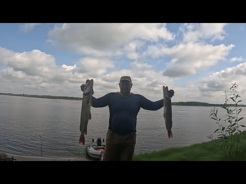 Видео: Рыбалка на Оби 24 08 2024   27 08 2024