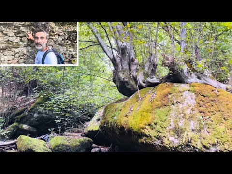 Видео: ПРОНАЈДОВ КАМЕН ЗИД ДОЛГ ЕДЕН КМ СРЕДЕ ШУМА ! 