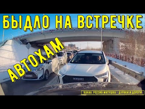 Видео: Быдло на встречке #188! Подборка на видеорегистратор!