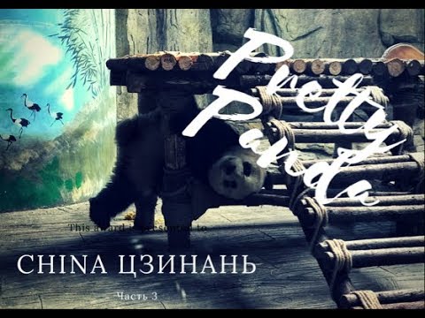 Видео: #Цзинань. #Китай. #Part 3. Ленивая панда