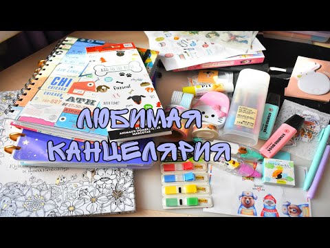 Видео: ЛЮБИМАЯ КАНЦЕЛЯРИЯ ЗА МЕСЯЦ