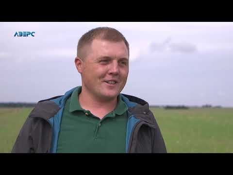 Видео: Підприємства групи компаній ТМ "Вілія" використовує органічні добрива для кращого урожаю