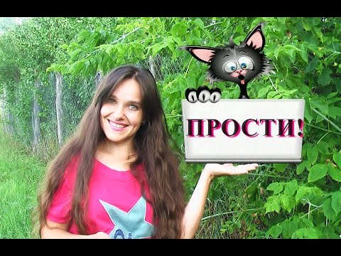 Видео: Как извиниться на немецком? Немецкий для начинающих.