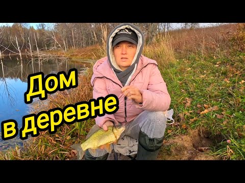 Видео: КУПИЛИ ДОМ В ДЕРЕВНЕ | ЛОВИСЬ РЫБКА | Пора сажать | Деревенские хлопоты