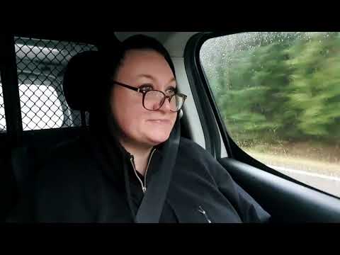 Видео: Неожиданный рыжий гость. Ангел хранитель мужа в его день рождения.