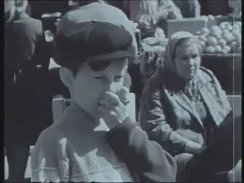 Видео: 1961-1970 г.г. Видеоколлаж "Тюмень".
