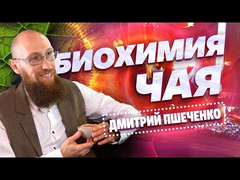 Видео: Биохимия чая. Дмитрий Пшеченко-биохимик.