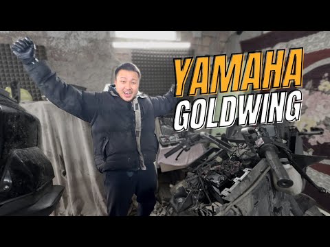 Видео: ГОЛДА от ЯМАХИ. Купил Самый Большой Мотоцикл Yamaha Venture Royale 1300... НЕ ГЛЯДЯ. ПЕРВЫЙ ЗАПУСК