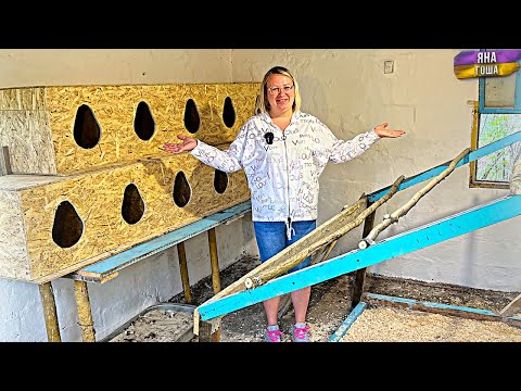 Видео: Курятник готов! Курочкам - понравится! Наши домашние цветы: фиалки и традесканция.