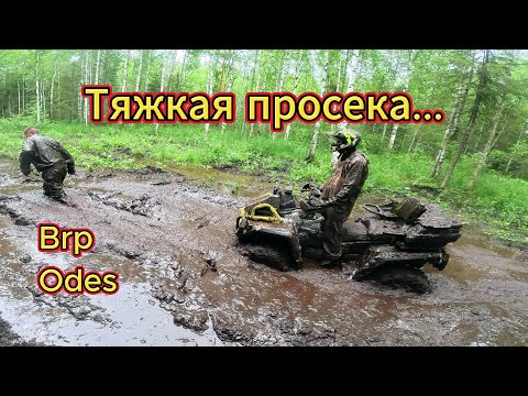 Видео: Тяжкая просека, квадроциклы не выдерживают!