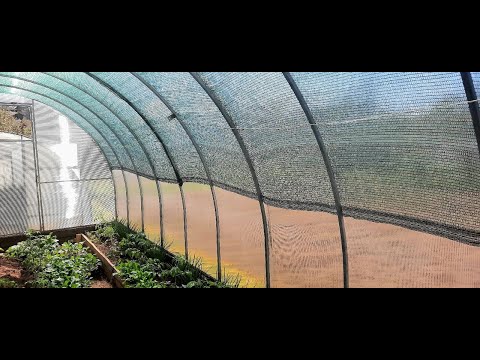 Видео: ВОПРОС - ОТВЕТ ❗ ЗАТЕНЯЮЩАЯ СЕТКА НА ТЕПЛИЦЕ ❗