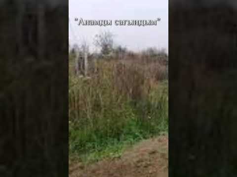 Видео: "Анамды сағындым"