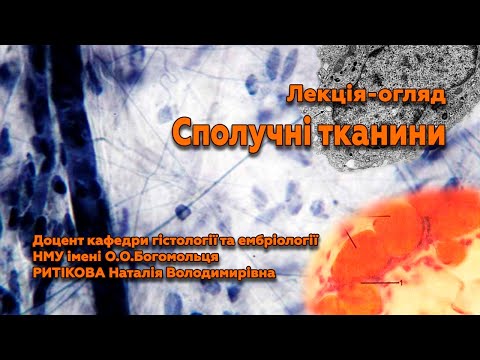 Видео: Лекція-огляд: Сполучні тканини