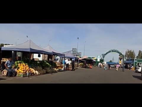 Видео: "ПЕТУШОК ."ОПТОВЫЙ РЫНОК  В ПЕНЗЕ. / ЧТО КУПИЛИ./