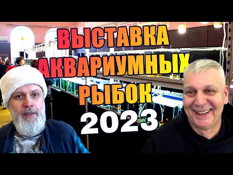 Видео: Выставка аквариумных рыб 2023. Москва. Клуб Русские аквариумы
