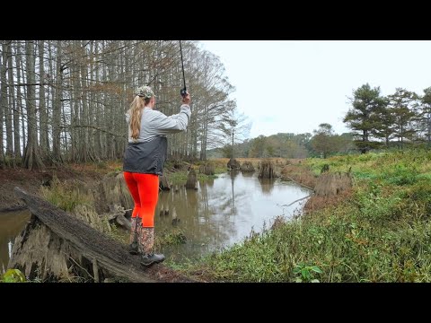 Видео: Я взял ее на рыбалку в ТЕМНОЕ БОЛОТО за БОЛЬШОЙ рыбой!