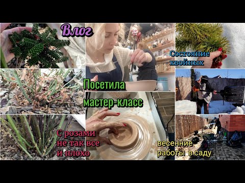 Видео: Навожу порядок, откапываю растения от снега. Мастер-класс на гончарном круге. Сад весной