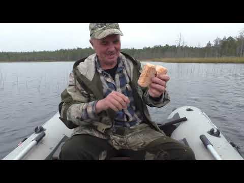 Видео: Колобашки , спиннинг и самоловки! Рыбалка на ламбушке!