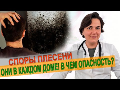 Видео: Споры плесени! Они в каждом доме. Что надо делать.  Врач аллерголог-иммунолог Екатерина Цывкина