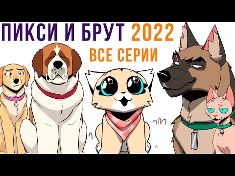 Видео: ПИКСИ И БРУТ. ВСЕ КОМИКСЫ 2022 | Мемозг 1167