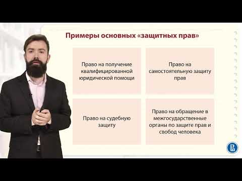 Видео: Конституционные гарантии прав человека