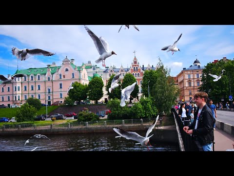 Видео: Выборг июнь 2025