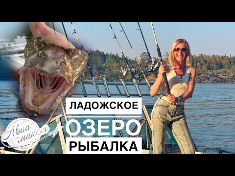 Видео: Рыбалка на Ладоге с Чемпионом Карелии | Ладожские шхеры на катере | Закат на Ладоге | Авиамания