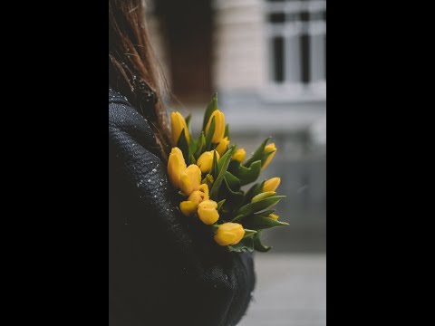 Видео: Место процесса регрессии в парных отношениях