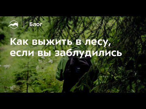 Видео: Как выжить в лесу, если вы заблудились