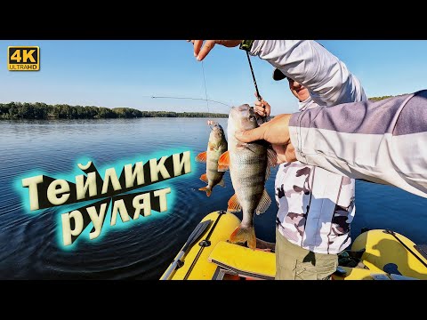 Видео: Ловля окуня на разные приманки. Рыбалка в сентябре 2024