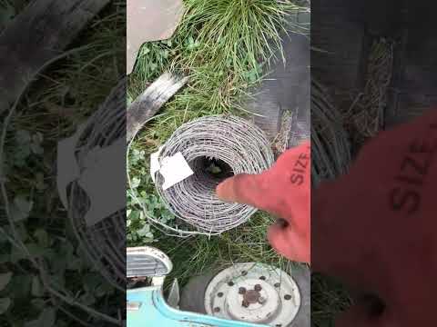 Видео: 7 листопада 2025 р.