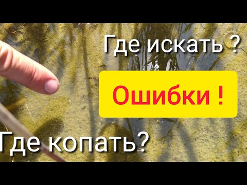 Видео: Где копать морской червь нереис