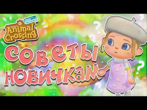 Видео: 10 СОВЕТОВ ДЛЯ НОВИЧКОВ *УЧИМСЯ НА МОИХ ОШИБКАХ* В ANIMAL CROSSING NEW HORIZONS! [YUKI CROSSING]