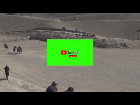 Видео: УЛОК ИСКАНДАРБЕК СУХ  (КУПКАРИ)  ТУЛИК ВИДИО