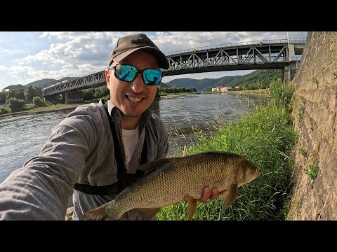 Видео: Держи крепче спиннинг. Рыбалка на Эльбе