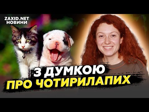 Видео: Вражаючі ЗМІНИ в ЛКП "Лев". Сучасне обладнання та РОЗШИРЕННЯ ПОСЛУГ для допоги тваринам