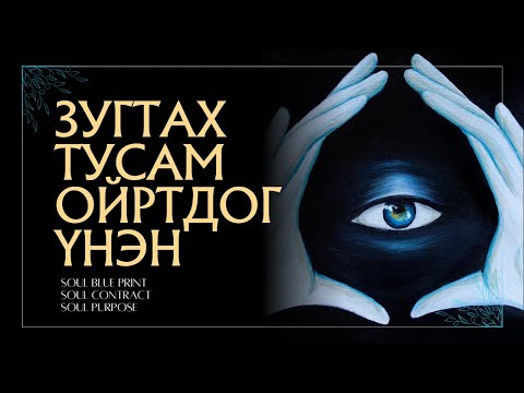 Видео: СҮНСНИЙ ЗОРИЛГО