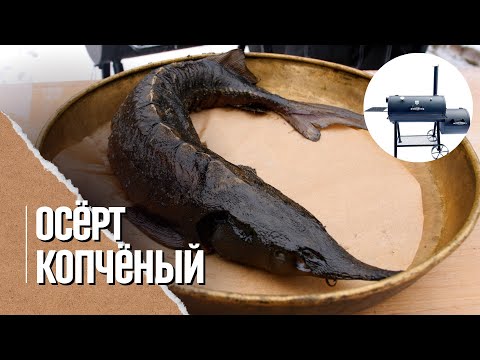 Видео: ОСЕТРИНА копченая в смокере, самая вкусная красная рыба