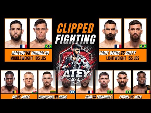 Видео: 🔥 ОБЗОР UFC В ПАРИЖЕ: Нассурдин Имавов  vs 🇧🇷 Кайо Борральо