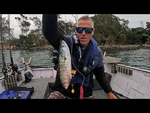 Видео: Рыбалка на юго-западных скалах (ловля и приготовление)