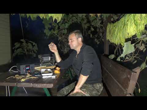 Видео: После заморозка -- табак хорош!