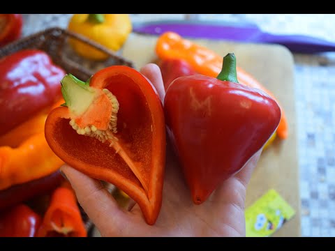 Видео: Тонкостенный или толстостенный? Дегустация перца 2020. Режу. Сравниваю.