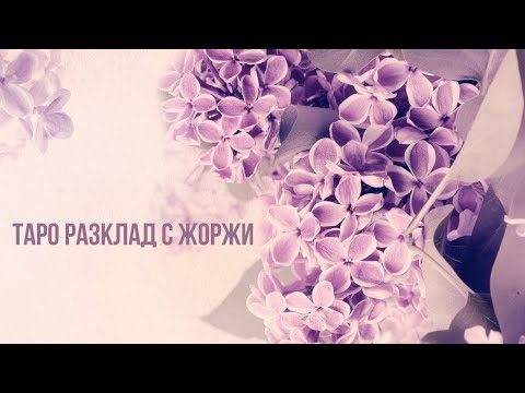 Видео: ❤️Мислиш ли за мен по вечерно време...?⭐️